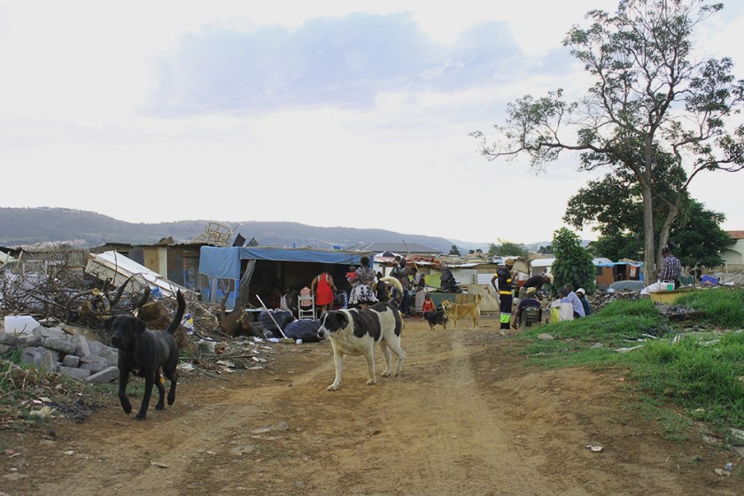 An informal settlement in Johannesburg, South Africa. Photo: Robyn Murray