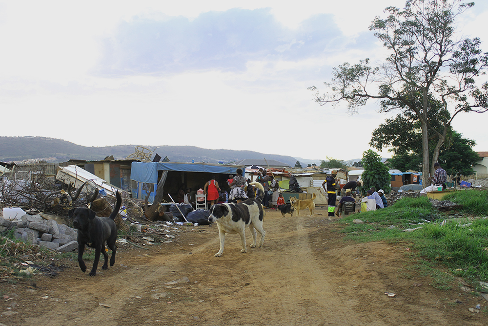 An informal settlement in Johannesburg, South Africa. Photo: Robyn Murray